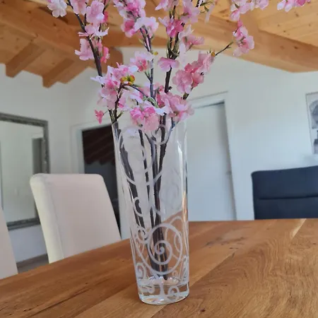 Appartement Jungfrau Penthouse - Aare Jungfrau Ag