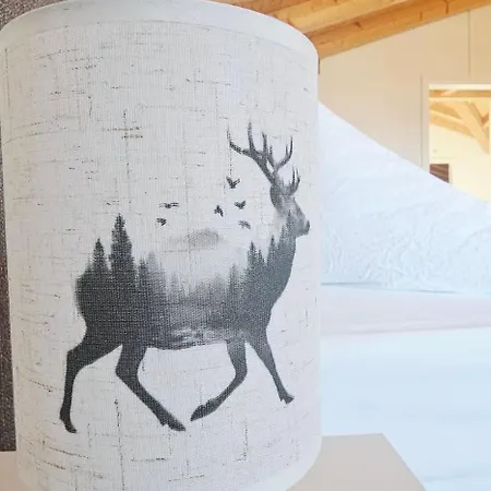 Διαμέρισμα Jungfrau Penthouse - Aare Jungfrau Ag Wilderswil