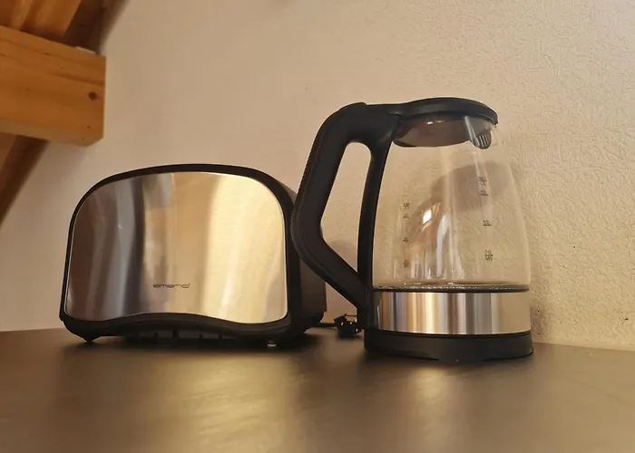 דירה Jungfrau Penthouse - Aare Jungfrau Ag וילדרסויל