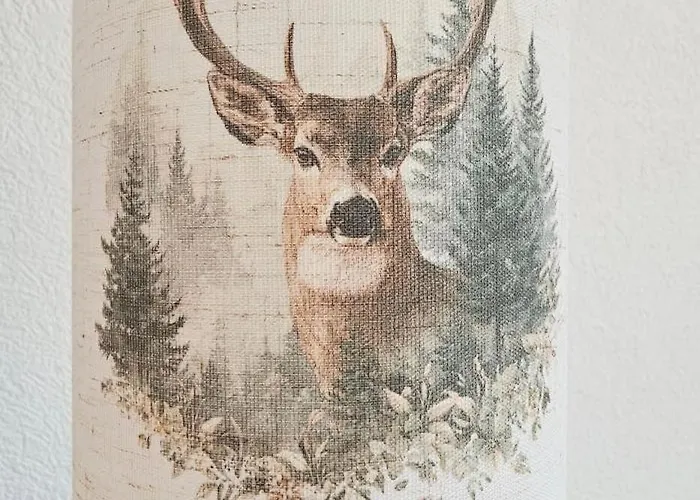 דירה Jungfrau Penthouse - Aare Jungfrau Ag *