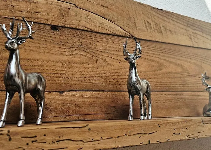 Jungfrau Penthouse - Aare Jungfrau Ag * וילדרסויל