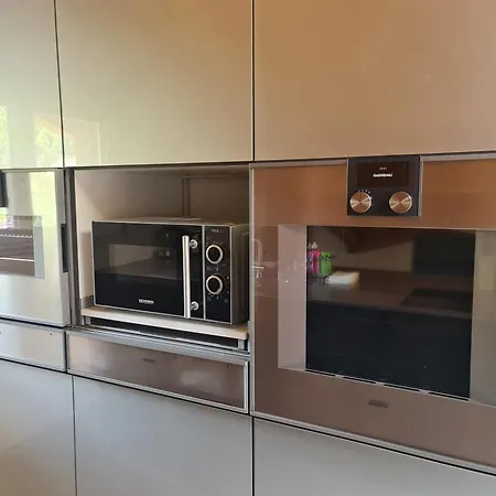 Apartment Jungfrau Penthouse - Aare Jungfrau Ag Wilderswil